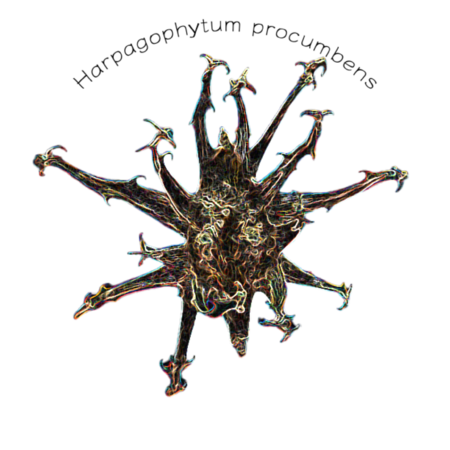 071f5e63 6e04 49e6 926d 8382da73530b s