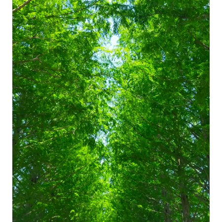 F973d3c9 d0d9 4058 a1e0 0767dbee36d3 s