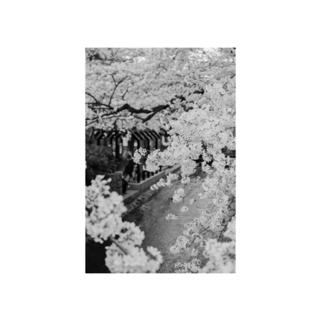 32707895 3352 4b8e a991 e4570b6b1fcd s