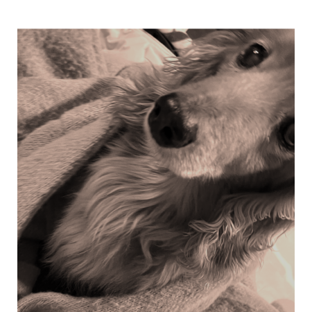 23e530d1 778c 487a a20b 89e1322022dd s