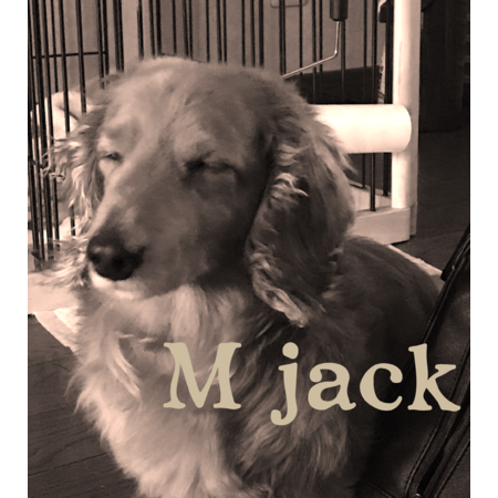 1ac06dd0 69f3 4687 a449 e264273da19a s