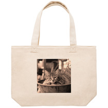 12a5b93f b0d2 4e14 bbd5 29ac2dec0664 53 print s