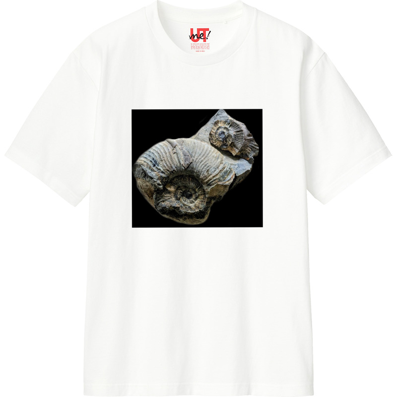 2a4966a4 169d 496e b39e 44cda88aafcc 110 print ll