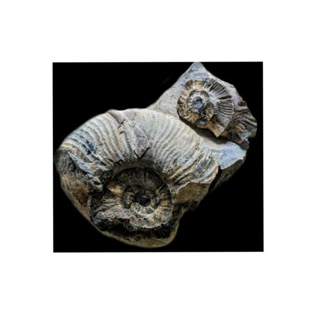 2a4966a4 169d 496e b39e 44cda88aafcc s