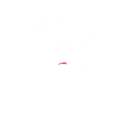 98ae55e7 03b2 4b12 aa2b 73106eb876bf s