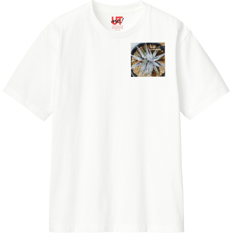 2e687d2c fab4 4b8d 9fee 549485aa2423 110 print ll