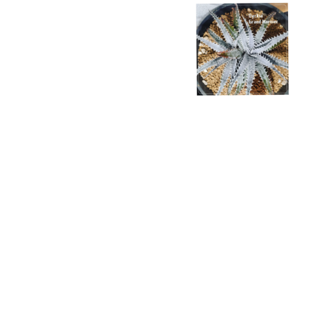 2e687d2c fab4 4b8d 9fee 549485aa2423 s