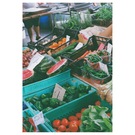 566566fa 75e2 430a a690 fc77356071d0 s