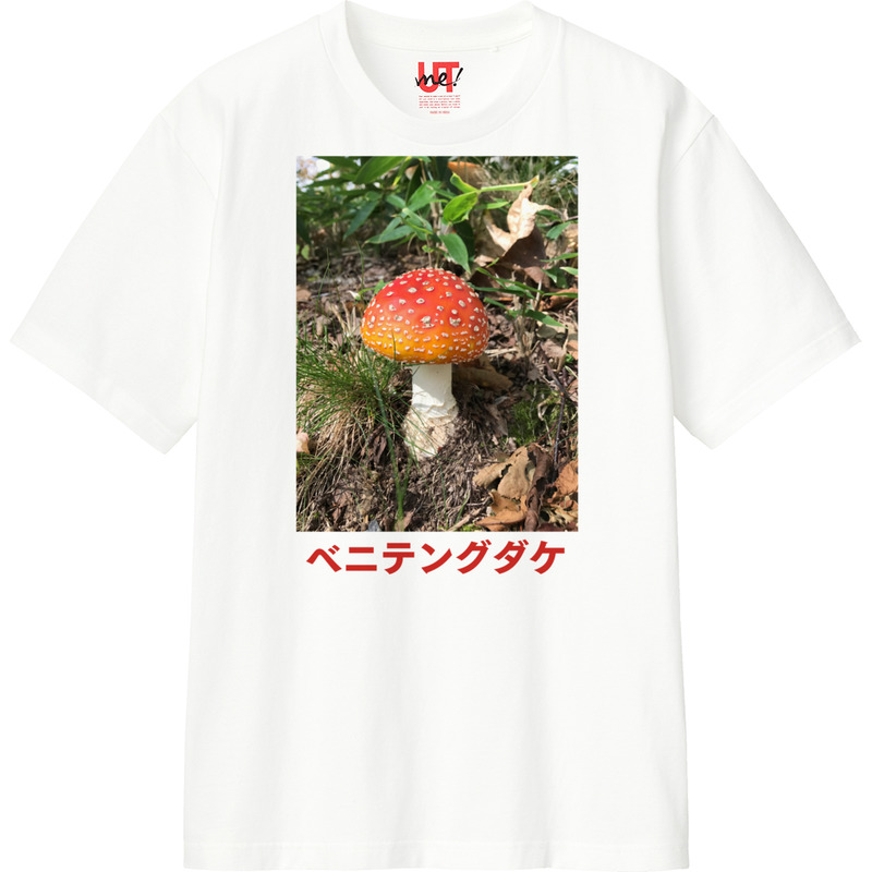 D6b3149f 78c1 4e1a 9c77 32cc217353f9 110 print ll