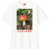 D6b3149f 78c1 4e1a 9c77 32cc217353f9 110 print s