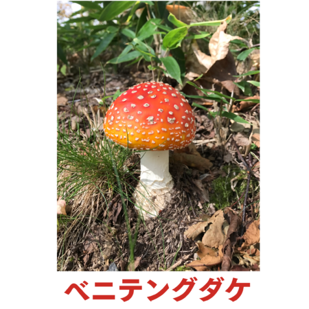 D6b3149f 78c1 4e1a 9c77 32cc217353f9 s