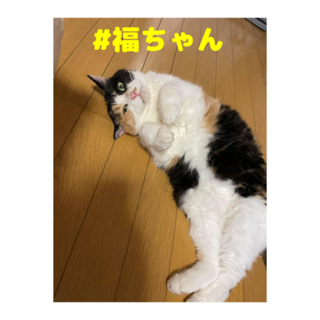 54585fb8 d01b 4c4a a3d5 e090c4a93fd6 s