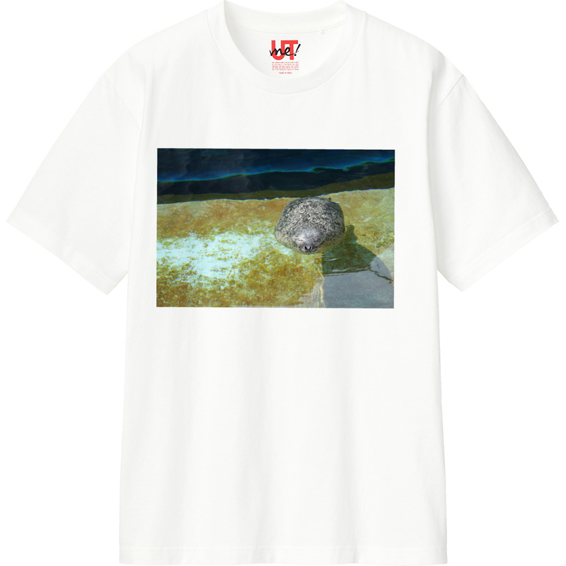 B1907526 9c98 43a9 8a07 a43010585f05 110 print ll