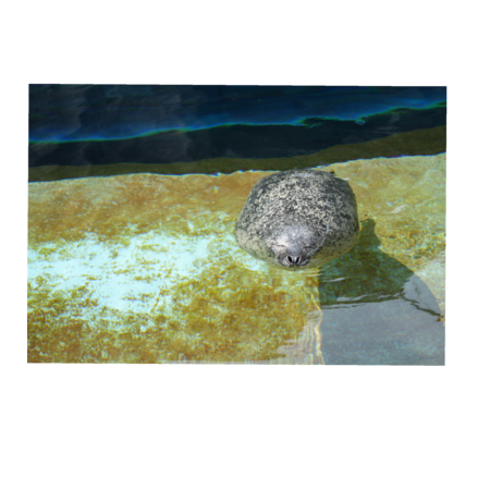 B1907526 9c98 43a9 8a07 a43010585f05 s