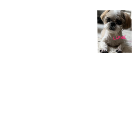 B9f78a97 85ea 4194 9451 1ba4354e8c56 s