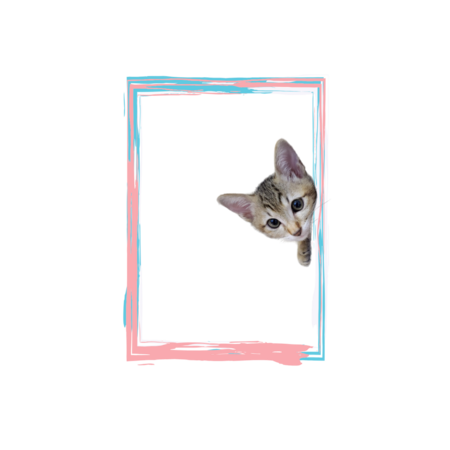 C3a2793b 1fb4 4024 a8d6 f27a5f8203b3 s