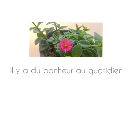 E5ba78d6 6d87 4f18 ad14 48034227c89c s