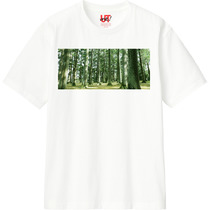 Fb319de1 bfd5 49de a836 22230a7cbe9a 110 print s