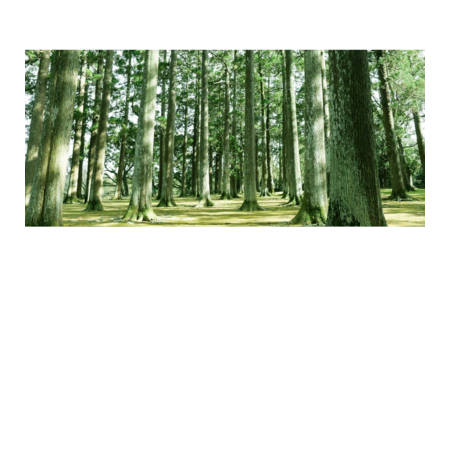 Fb319de1 bfd5 49de a836 22230a7cbe9a s