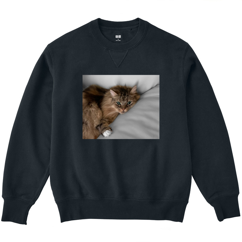 8e782b35 7fe8 48a4 a99c 815266a820f2 3 print ll