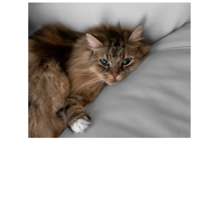 8e782b35 7fe8 48a4 a99c 815266a820f2 s