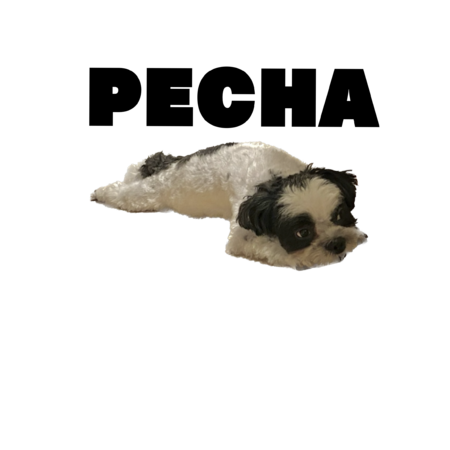 604121a2 24c2 4f61 92bb 80dbb56df19a s