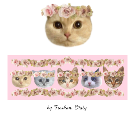 D02b003f 78ca 4f52 9ec1 9f6f87db057a s