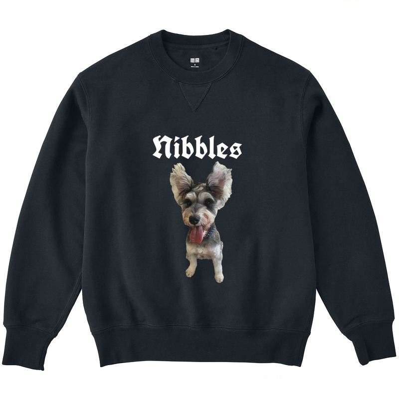 Acd09c1d dffc 4e47 910f 9b32293ab45d 3 print ll