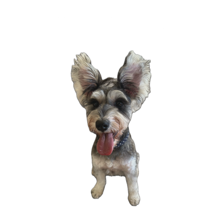 Acd09c1d dffc 4e47 910f 9b32293ab45d s