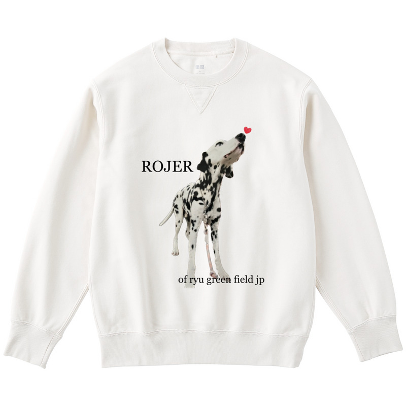 B22c8ab8 08b6 4ab3 81a0 9f8cbdc7d9b6 122 print ll