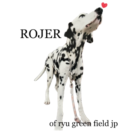 B22c8ab8 08b6 4ab3 81a0 9f8cbdc7d9b6 s