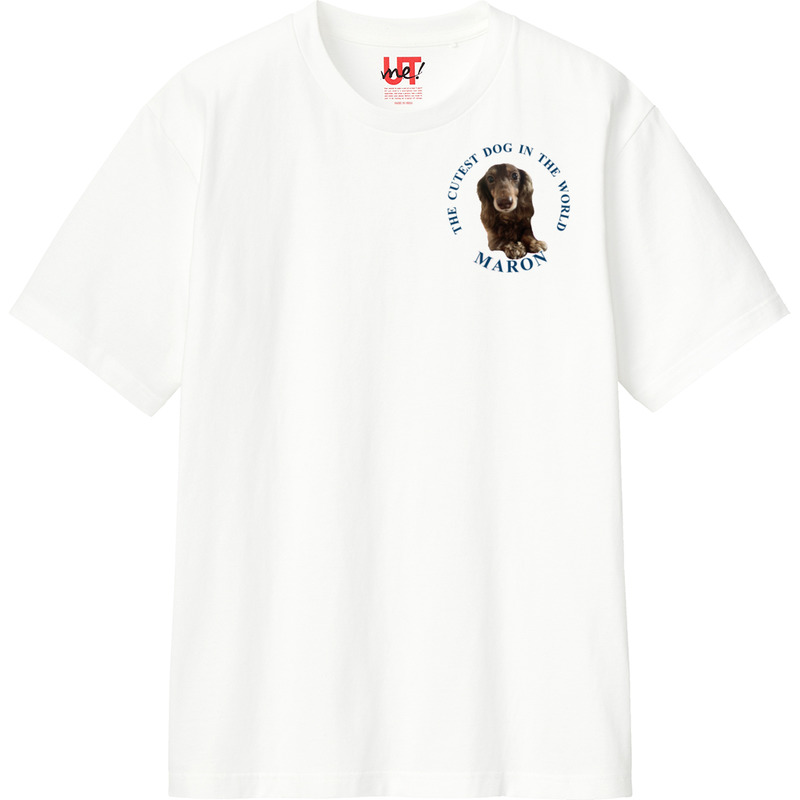 D72457b6 ebfb 41f0 9b4e 1d80e9e1aa42 110 print ll