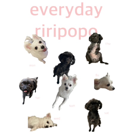 8c43266c c900 412b b1d3 085b78897dfb s