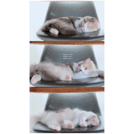 Fc9e1454 0588 440a 980c 4fc4dbdbdb7a s