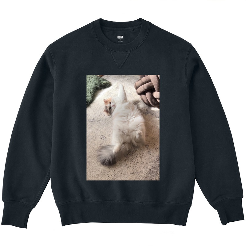 C4f66675 23c2 48b1 8f5e 023823dd8199 3 print ll