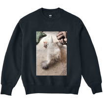 C4f66675 23c2 48b1 8f5e 023823dd8199 3 print s