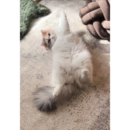 C4f66675 23c2 48b1 8f5e 023823dd8199 s