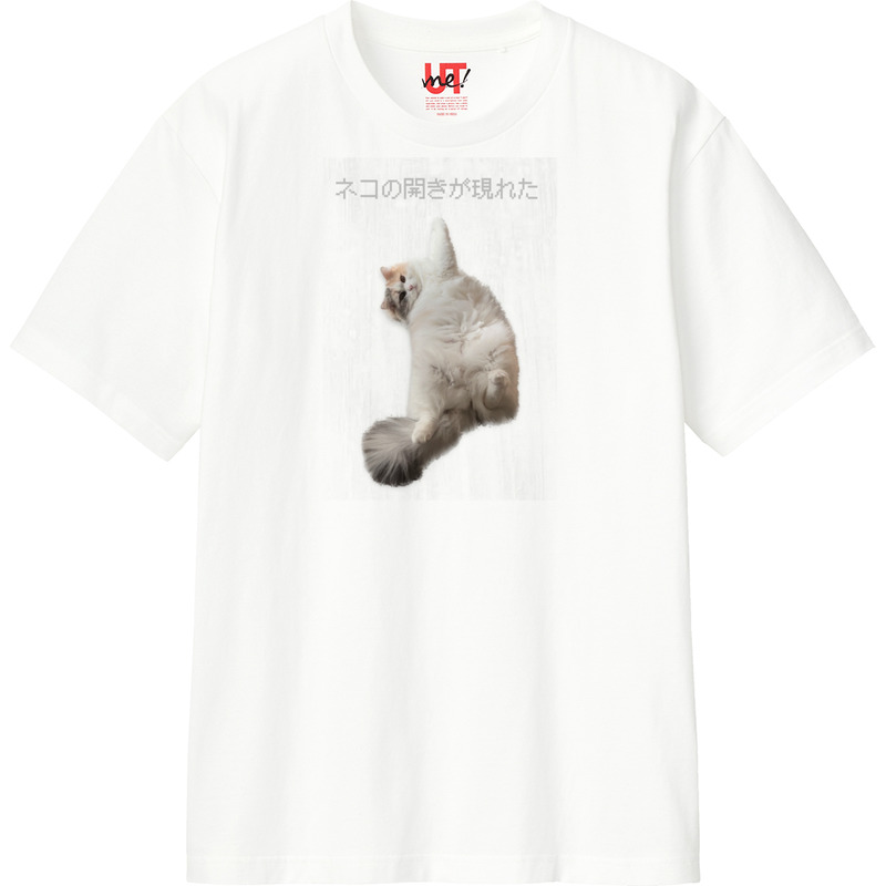 2bf85979 9d2f 499e ba2c e8bba05842ed 110 print ll