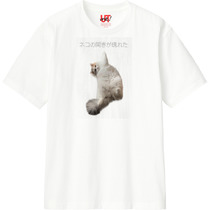 2bf85979 9d2f 499e ba2c e8bba05842ed 110 print s