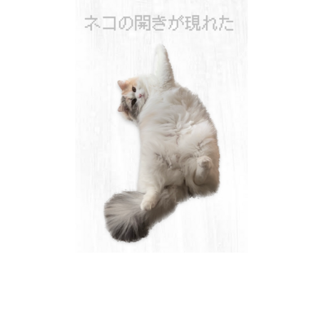 2bf85979 9d2f 499e ba2c e8bba05842ed s