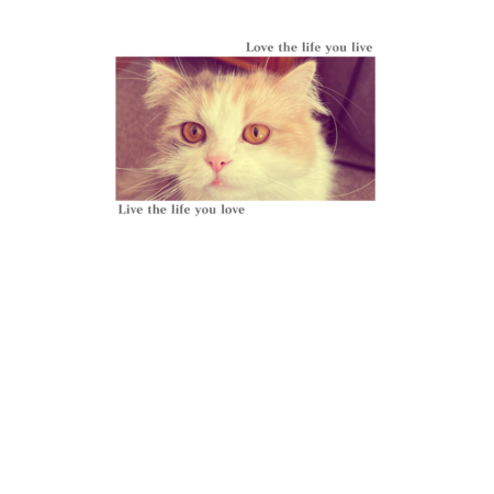 D4a5496b 05bc 4469 9894 f4dbb2892312 s