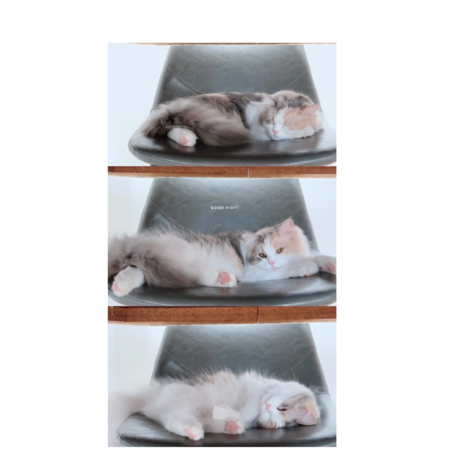 2b7c5a17 9499 4b10 902a b71248034e64 s