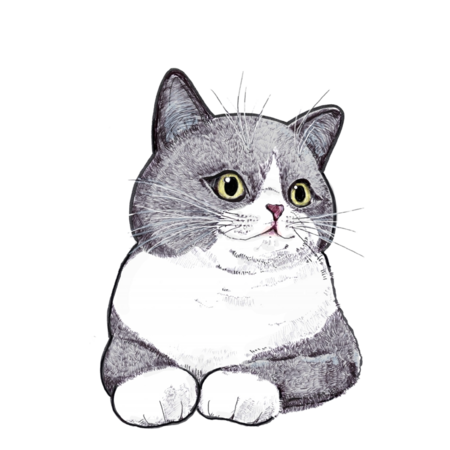 3fb7b7b0 02b7 47a1 a572 ffce003d49ed s