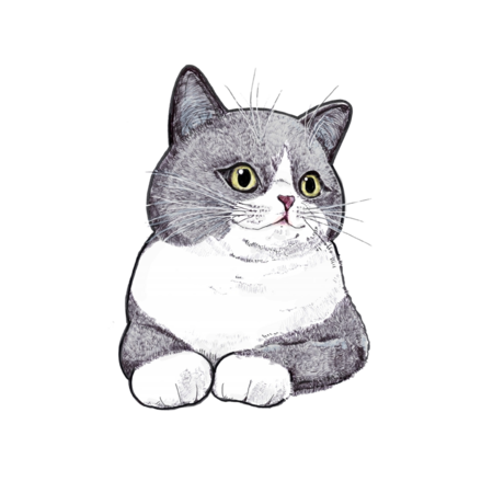 B4f78263 d3c3 4411 a35a fb8960d460c5 s