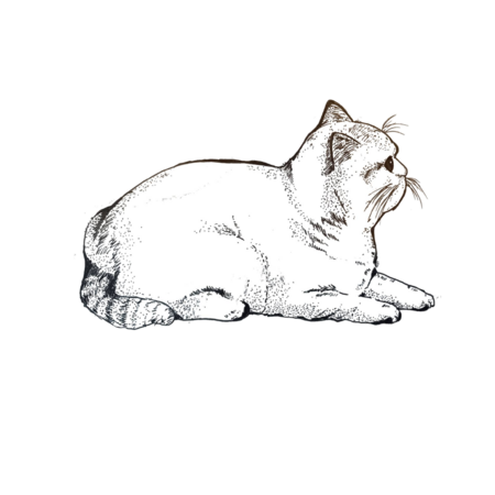 4d3f3fbe f1df 4f88 bf7b 8b673874c9f5 s