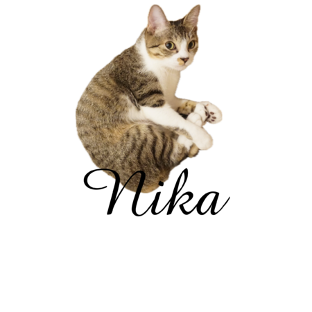 2aa47d3c 6de3 491d a53c 03f33fa40e71 s