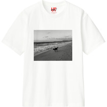 Cd103a29 cc7c 40b8 94f9 2bf6e430c5a3 110 print s