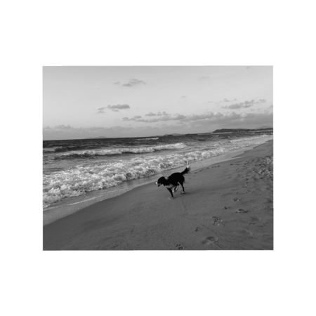 Cd103a29 cc7c 40b8 94f9 2bf6e430c5a3 s