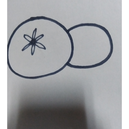 B7b15330 6301 480a a884 8216b446736b s