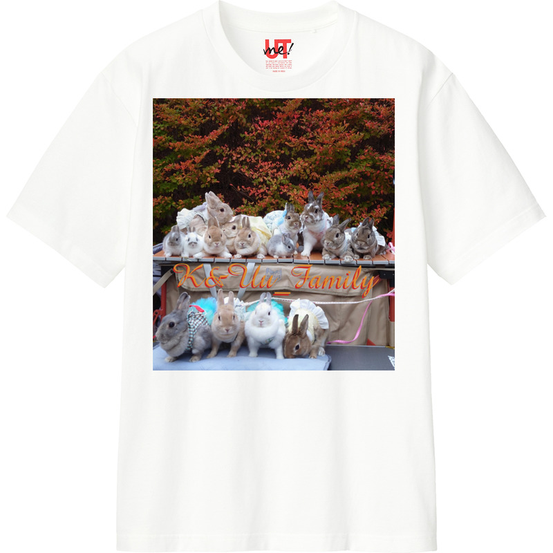 4f8f8eb3 94fa 47d2 8702 d6c93cd25572 110 print ll